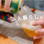 一人暮らしvlog お弁当のおかず保存容器と焼きチーズカレーの夕食