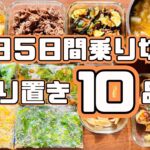 【1時間以内】1週間分のお弁当＆晩御飯おかず10品全部まとめて作る！【作り置き実況：108】