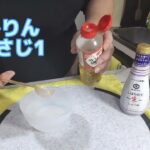 2周年記念。「災害食」「豚丼」のタレのレシピ。