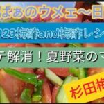2023梅酢and梅酢レシピ 夏バテ解消!夏野菜のマリネと杉田梅