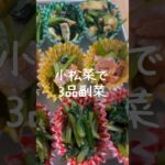 【お弁当に◎】体に良い小松菜でササっと簡単副菜3品 #レシピ
