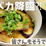 【お昼ご飯】親バカぶりを発揮⁈/茄子の蒲焼き丼/そうめん/お好み焼き/簡単ご飯/簡単レシピ/ひとりご飯/主婦/blog
