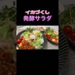 野菜がたくさん取れる！ダイエット発酵サラダ🥗 #shorts #節約レシピ #料理動画 #簡単料理 #ダイエット料理 #サラダレシピ