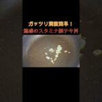 ガッツリ満腹簡単！魅惑のスタミナ豚テキ丼 #時短 #すぐ出来る #簡単レシピ #豚テキ#肉丼#ガッツリ#トンテキ#豚肉料理#ニンニク#丼メニュー#どんぶり#shorts