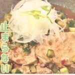 簡単鶏むね肉レシピ/甘辛中華だれでお箸が止まらない/きゅうり