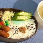 ♡今日も簡単お弁当作り/野菜多めのウィンナー弁当