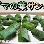 【エゴマの葉のサンパプ】サムジャン活用レシピ,お弁当やおもてなしの一品にもどうぞ,깻잎쌈밥