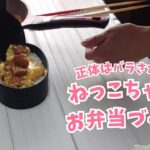 お弁当一週間分/冷めても美味しいおかずを簡単に早く料理する/作り置きレシピ/おかずの作り方