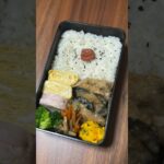 たんぱく質が摂れる【ダイエット弁当】【鶏胸肉レシピ】 #ダイエット #お弁当