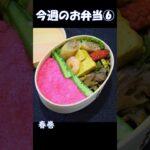 今週のお弁当⑥ #お弁当レシピ #お弁当詰め方 #お弁当