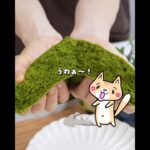 【ダイエット】ふわふわもちもち😍米粉の抹茶蒸しパン✨ #簡単レシピ #ダイエットスイーツ #米粉スイーツ