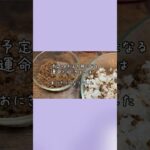 簡単で美味しい／そぼろのおにぎり／おにぎらずより簡単レシピ