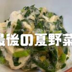 【まだイケる夏野菜！】ネバネバ夏野菜の王モロヘイヤの激旨簡単レシピ紹介します！