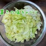 簡単作り置き生キャベツレシピ/中華風/ごま油塩キャベツ