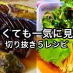 【なす・ゴーヤ】すぐ見れる短編レシピまとめ５選｜夏野菜編