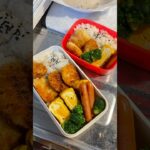 ズボラ女子大生のリアル平日弁当! #ずぼら弁当 #おかずレシピ #簡単レシピ #ひとりごはん #自炊 #お弁当 #ずぼら飯 #毎日弁当 #vlog #焼肉弁当