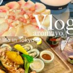 【vlog】休日の記録 野菜たっぷりレシピと桃ケーキ作り 横浜でビールを飲む休日｜휴일의 기록 야채듬뿍 레시피와 복숭아케이크 만들기 요코하마에서 맥주를 마시며 저녁보내기