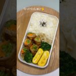 彩りってこんな感じでしょうか❔ #ずぼら弁当 #おかずレシピ #お弁当 #ひとりごはん #自炊 #簡単レシピ #vlog #ずぼら飯 #毎日弁当 #焼肉弁当 #にくまき