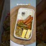 彼氏に茶色弁当作った❕ #ずぼら弁当 #おかずレシピ #お弁当 #ひとりごはん #自炊 #簡単レシピ #vlog #ずぼら飯 #毎日弁当 #焼肉弁当