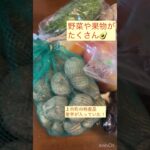 10月のかみいち野菜直送便#上市町 #サブスク #野菜 #野菜レシピ #簡単料理