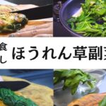 【1束ペロリ】みんながハマる！ほうれん草副菜3選
