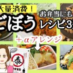 お弁当にも大活躍⭕️ごぼう大量消費！簡単レシピ3選+αアレンジ
