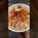 てんこ盛りの甘えび丼作った #shorts #料理 #クッキング #レシピ #おすすめ