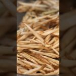 乱れた食生活にはこの野菜！ごぼう１本あれば絶品おかずが作れます。（ごぼうのごま胡椒炒め）#shorts #簡単レシピ #ごぼう #ごま