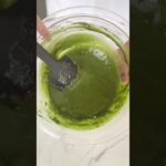 【レシピ】フランス発祥！オーブンなしでできるスイーツりんごのガトーインビジブル#shrots#スイーツ#りんご#ケーキ#おうちカフェ#カスタード#萌え断#手作りサンクロレラ#クロレラ