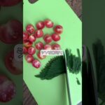 【副菜にぴったり】切って混ぜるだけの無限トマト