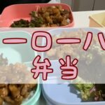 ルーローハン弁当。#夜ごはん #簡単ご飯 #簡単レシピ #お弁当 #お弁当作り