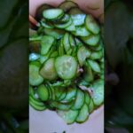 シーチキンの缶をあけるおと❀お野菜やさんのきゅうり🥒すりすりスライス♡　和え物レシピ　酢の物参上　お皿に盛ろうもろっ　きゃっきゃっ　