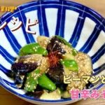 簡単なすとピーマンの甘辛みそ炒め／副菜／お弁当のおかず／節約レシピ