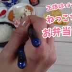 お弁当三日分/冷めても美味しいおかずを簡単に早く料理する/作り置きレシピ/おかずの作り方