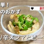 簡単お弁当のおかず／ピリ辛メンマとピーマン炒め／豆板醤／副菜節約レシピ