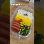 ポー玉弁当でっす❕ #ずぼら弁当 #おかずレシピ #お弁当 #ひとりごはん #自炊 #簡単レシピ #vlog #ずぼら飯 #毎日弁当 #焼肉弁当 #ずぼら女子大生