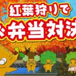 【ダイエー】YouTuberモッくん紅葉狩りでお弁当対決！