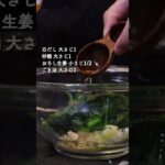 だし香るほうれん草副菜!! #shorts