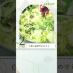 たっぷり白菜の簡単副菜！白菜の塩昆布おかか蒸し #shorts