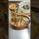 【毎日お弁当】しゃけのお弁当🍱#お弁当 #社会人 #簡単レシピ #料理 #shorts