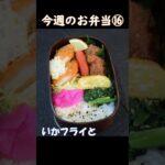 今週のお弁当⑯ #お弁当 #お弁当レシピ #毎日弁当 #お弁当詰め方