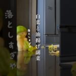 副菜が決まらない時に！白菜と油揚げの簡単副菜レシピ　#レンチンレシピ