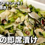 ご飯がすすむお漬物！簡単作り置き！野菜の即席漬けの作り方