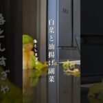 副菜が決まらない時に！白菜と油揚げの簡単副菜レシピ　#レンチンレシピ
