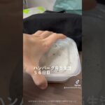 #お弁当 #ハンバーグ #簡単レシピ #弁当男子 #ランチ #サラリーマン