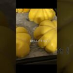 #お菓子 #パティシエ #スイーツ #パン作り #パン#かぼちゃレシピ #かぼちゃ#かぼちゃパン#カボチャパン#カボチャ