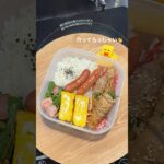 不具合で乗せ直しすみません💦 #お弁当 #簡単レシピ #おかずレシピ #自炊 #vlog #ずぼら弁当 #ひとりごはん #毎日弁当 #ズボラ弁当 #ズボラレシピ #ズボラ料理