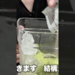 2L巨大抹茶フラペチーノ作ったよん #スタバ #新作フラペチーノ #スイーツ #バリスタ #レシピ #フラペチーノ #料理