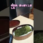 小学4年生が作ったお弁当