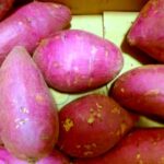 【 BGM】4Kでスイーツの料理のレシピが3つあります！リラックス 音楽 BGM です